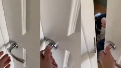 Boy Shaves Dog's Head with Electric Razor, Mother's Shock Turns to Laughter