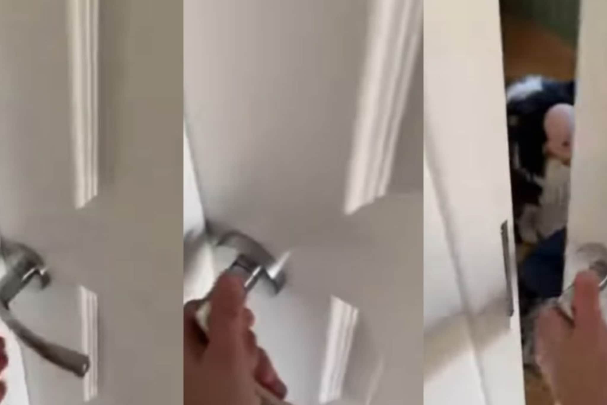 डॉगसोबत रूममध्ये एकटा मुलगा, येत होता विचित्र आवाज; दरवाजा उघडताच किंचाळली आई डॉगसोबत रूममध्ये एकटा मुलगा, येत होता विचित्र आवाज; दरवाजा उघडताच किंचाळली आई