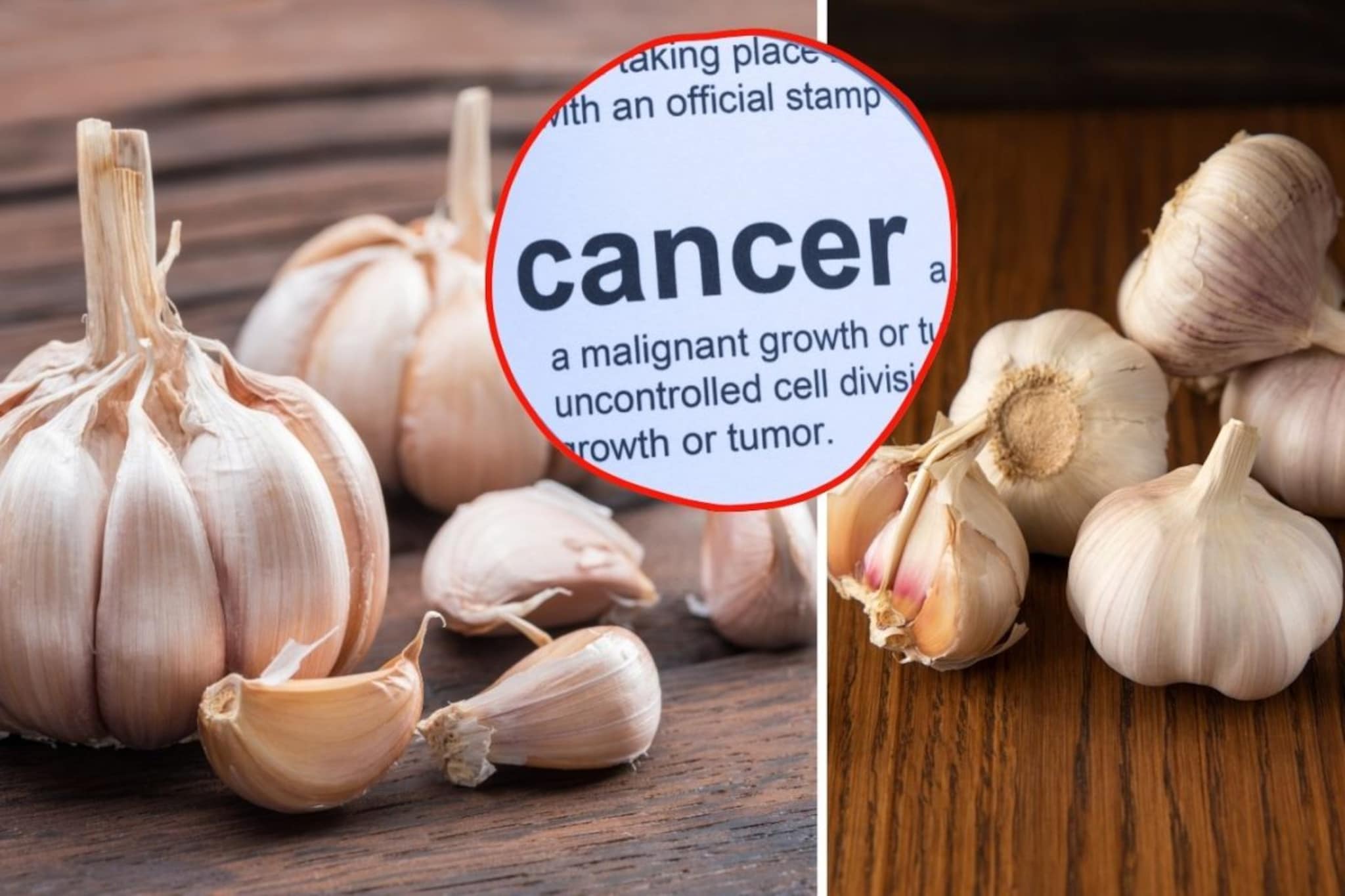 लसूण खरेदी करताना सावधान! 'चायनीज' लसणामुळे कर्करोगाचा धोका! तज्ज्ञांची माहिती