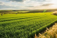 जगातील एकमेव देश, जे हवं ते स्वत: पिकवतो, इथं सगळं खायला मिळतं; काहीच आयात करत नाही, पण भारताशी खास कनेक्शन