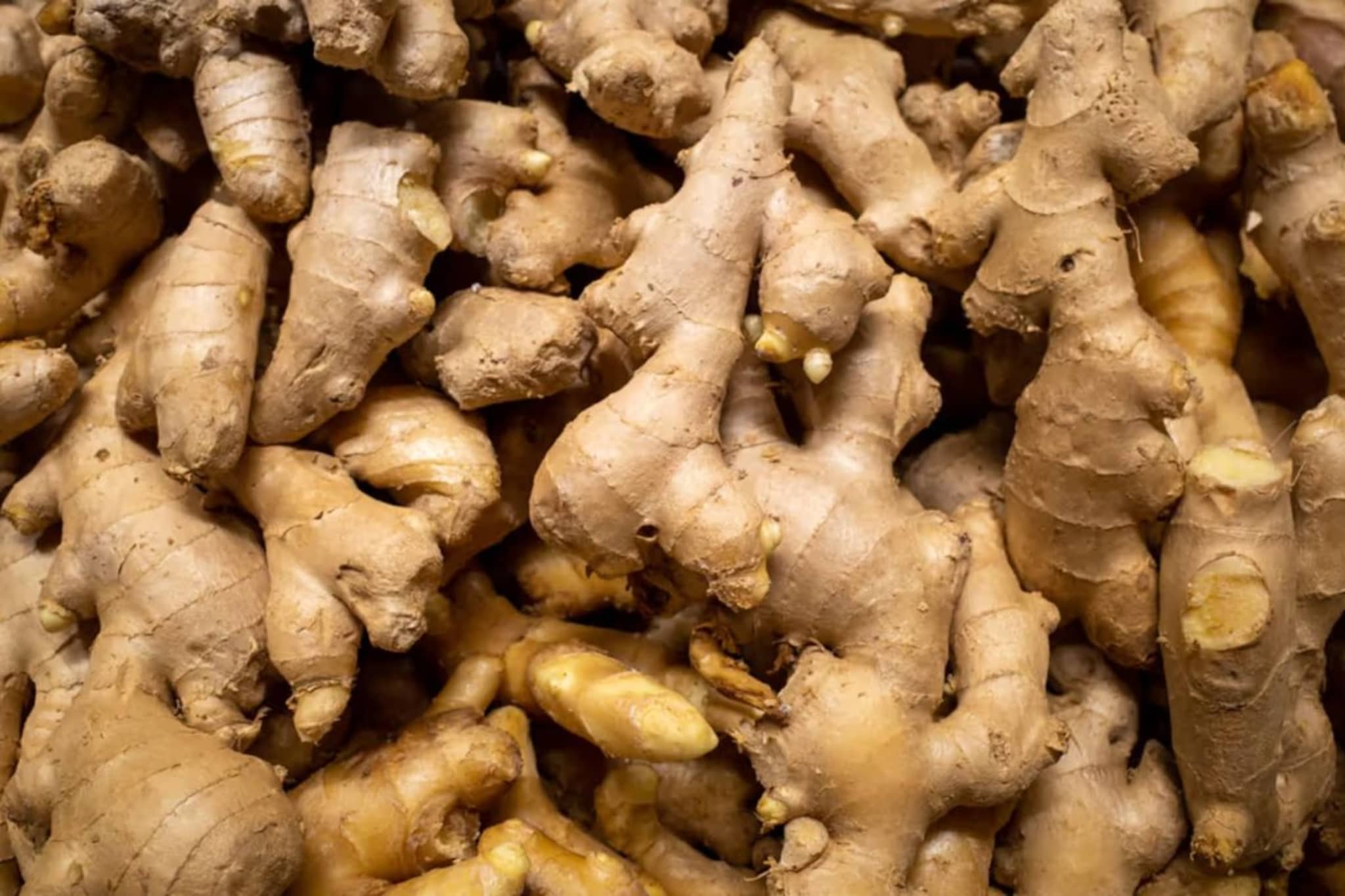 आल्याच्या दरात घसरण, शेवग्यासह इतर भाज्यांचे दर काय? आल्याच्या दरात घसरण, शेवग्यासह इतर भाज्यांचे दर काय?