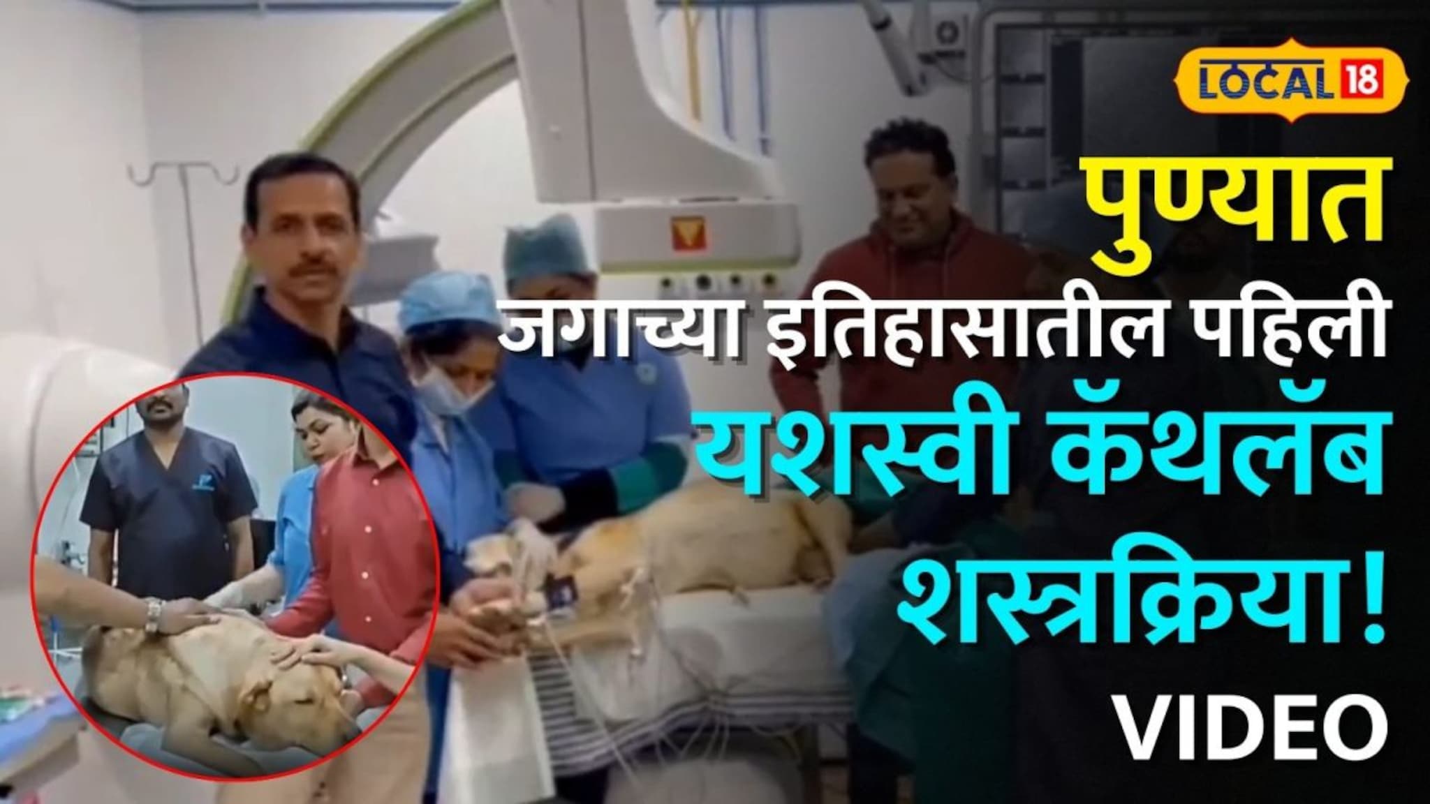 कुत्र्याच्या पोटातून काढली अडीच किलोची गाठ , पण रक्ताचा एक थेंबही सांडला नाही; पुण्यात जगाच्या इतिहासातील पहिली यशस्वी कॅथलॅब शस्त्रक्रिया !  