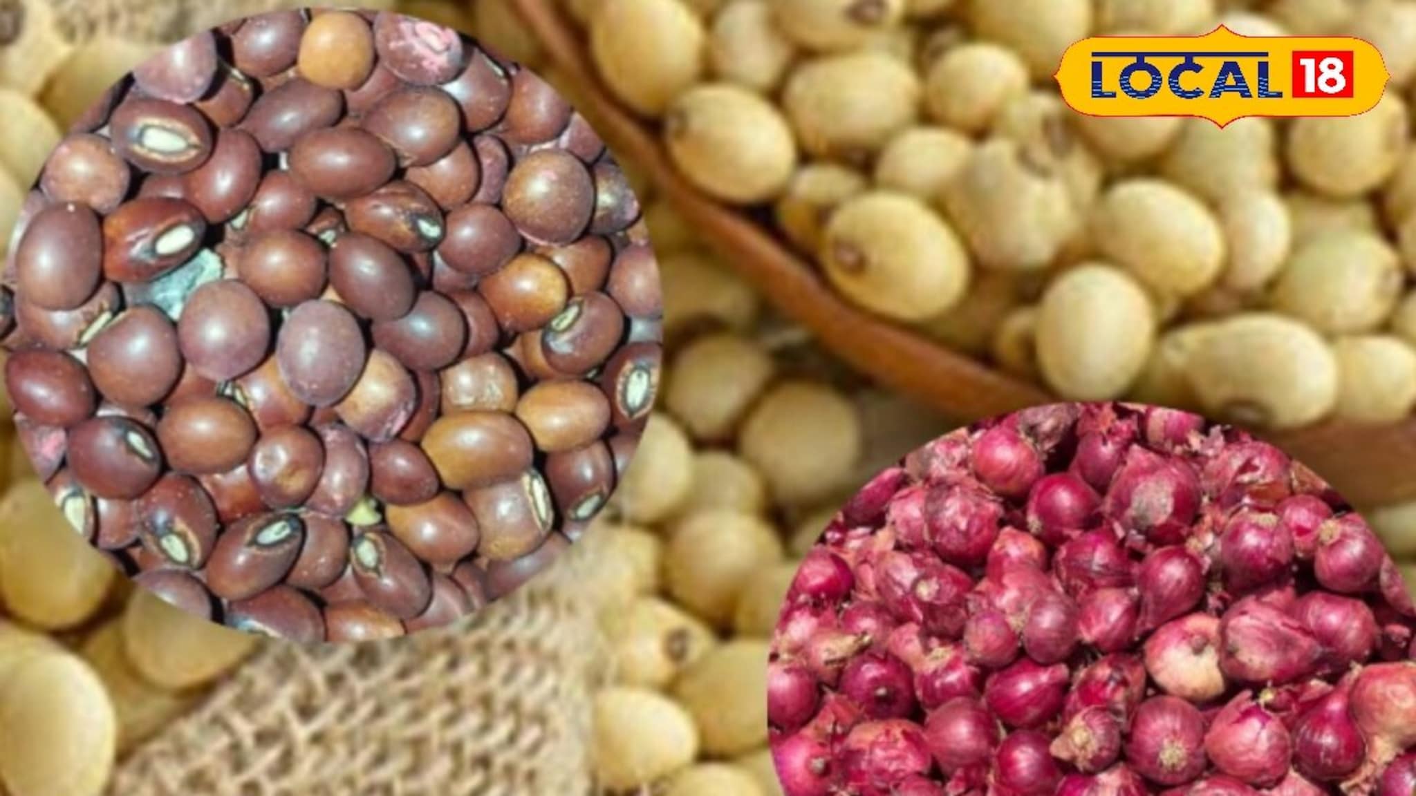 कांद्याच्या दरात पुन्हा घसरण, तुरीचे वाढले भाव, सोयाबीनची काय स्थिती? Video