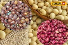 कांद्याच्या दरात पुन्हा घसरण, तुरीचे वाढले भाव, सोयाबीनची काय स्थिती? Video