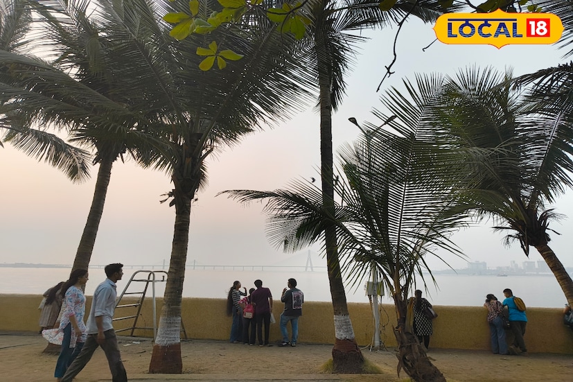 नववर्षाच्या पहिल्या आठवड्यात मुंबई महानगर परिसरात हवामानात मोठे बदल जाणवत आहेत. गेल्या दोन दिवसांपासून शहरावर ढग दाटल्याचे चित्र आहे. थंडीचा तीव्रता काही प्रमाणात कमी झाली असून किमान तापमानात वाढ नोंदवली जात आहे. हवामान विभागाच्या अंदाजानुसार, 4 जानेवारी रोजीही मुंबईसह राज्यात ढगाळ ते मुख्यतः निरभ्र हवामान राहण्याची शक्यता असून, थंडी पूर्णपणे ओसरणार नसली तरी गारवा सौम्य स्वरूपात जाणवेल.