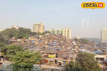 महाराष्ट्रातील हवामानात बदल, थंडीची लाट येणार?हवामान खात्याकडून महत्त्वाचं अपडेट