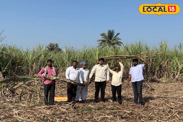 सांगलीच्या शेतकऱ्याची कमाल, 30 गुंठ्यात घेतलं 90 टन ऊस उत्पादन, कशी केली शेती?