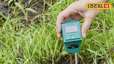 जाणून घ्या जमिनीचा पीएच कसा ओळखायचा