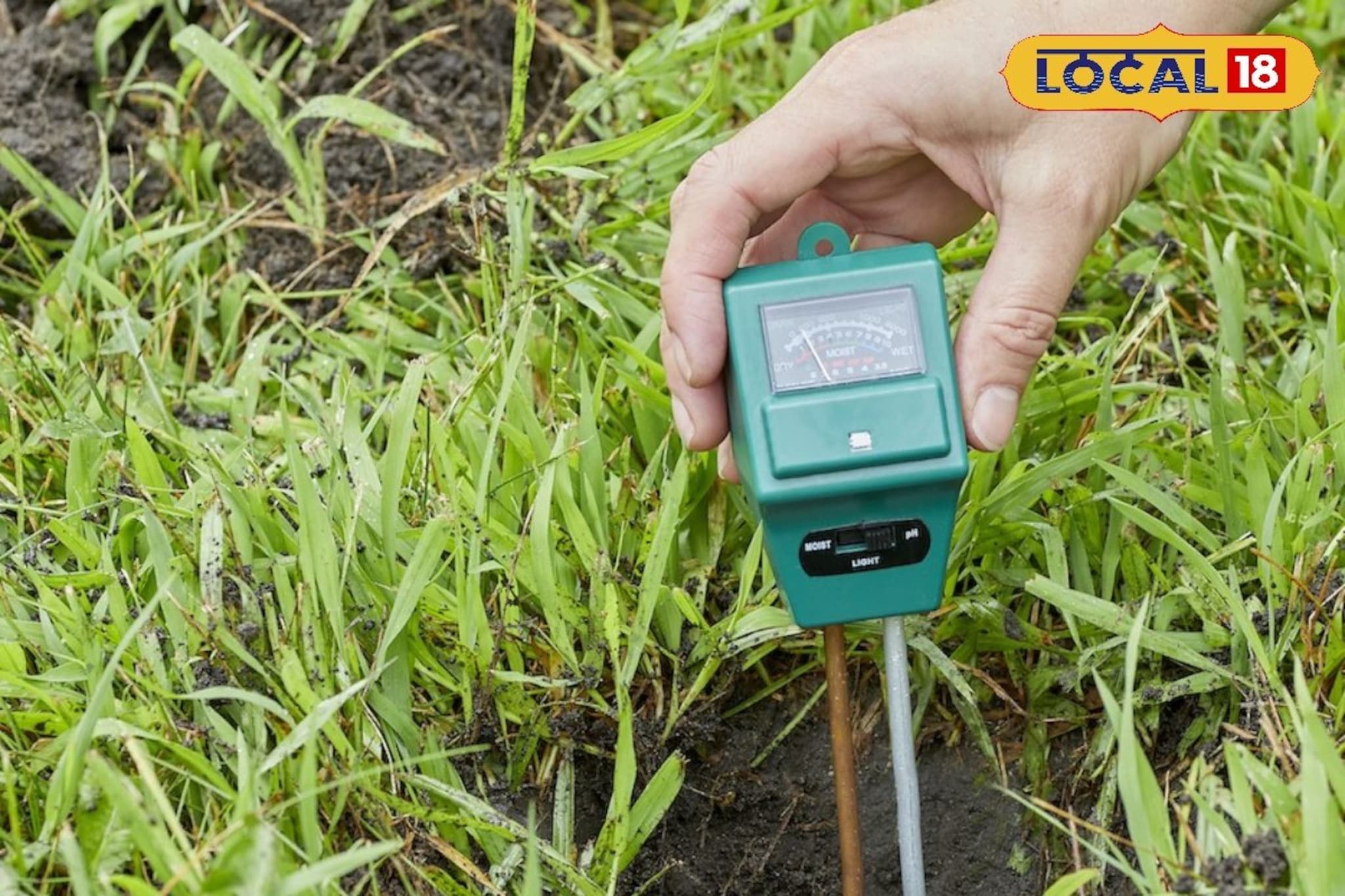 काळ्या मातीची काळजी घ्या! PH असा राखा संतुलन, उत्पन्न वाढण्यास होईल मदत