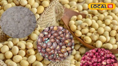 Maharashtra Krushi Market updates 