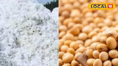 Maharashtra Krushi Market updates