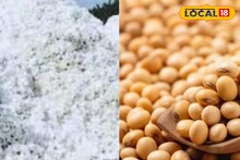 कापूस आणि तुरीच्या दरात उलथापालथ, सोयाबीनची कशी राहीली स्थिती? इथं चेक करा