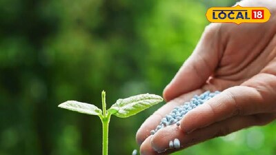 शेती उत्पादन वाढवण्यासाठी रासायनिक खतांचा अतिरेक ठरतोय घातक