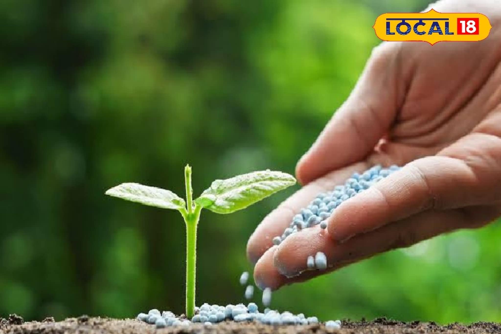 शेतीत करताय रासायनिक खतांचा वापर, वेळीच व्हा सावध, नाहीतर होतील हे गंभीर परिणाम