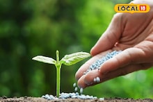 उत्पादन वाढवण्यासाठी शेतीत करताय रासायनिक खतांचा वापर, वेळीच व्हा सावध, नाहीतर होतील हे गंभीर परिणाम