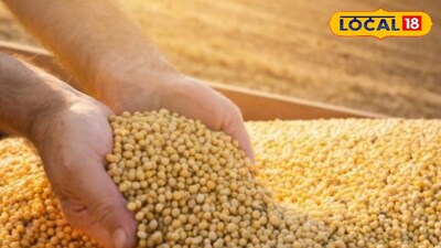 Maharashtra Krushi Market updates 