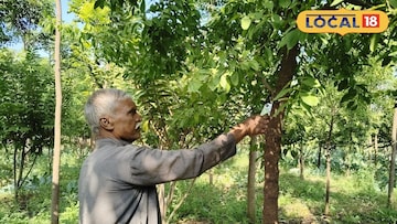 एसटीतून