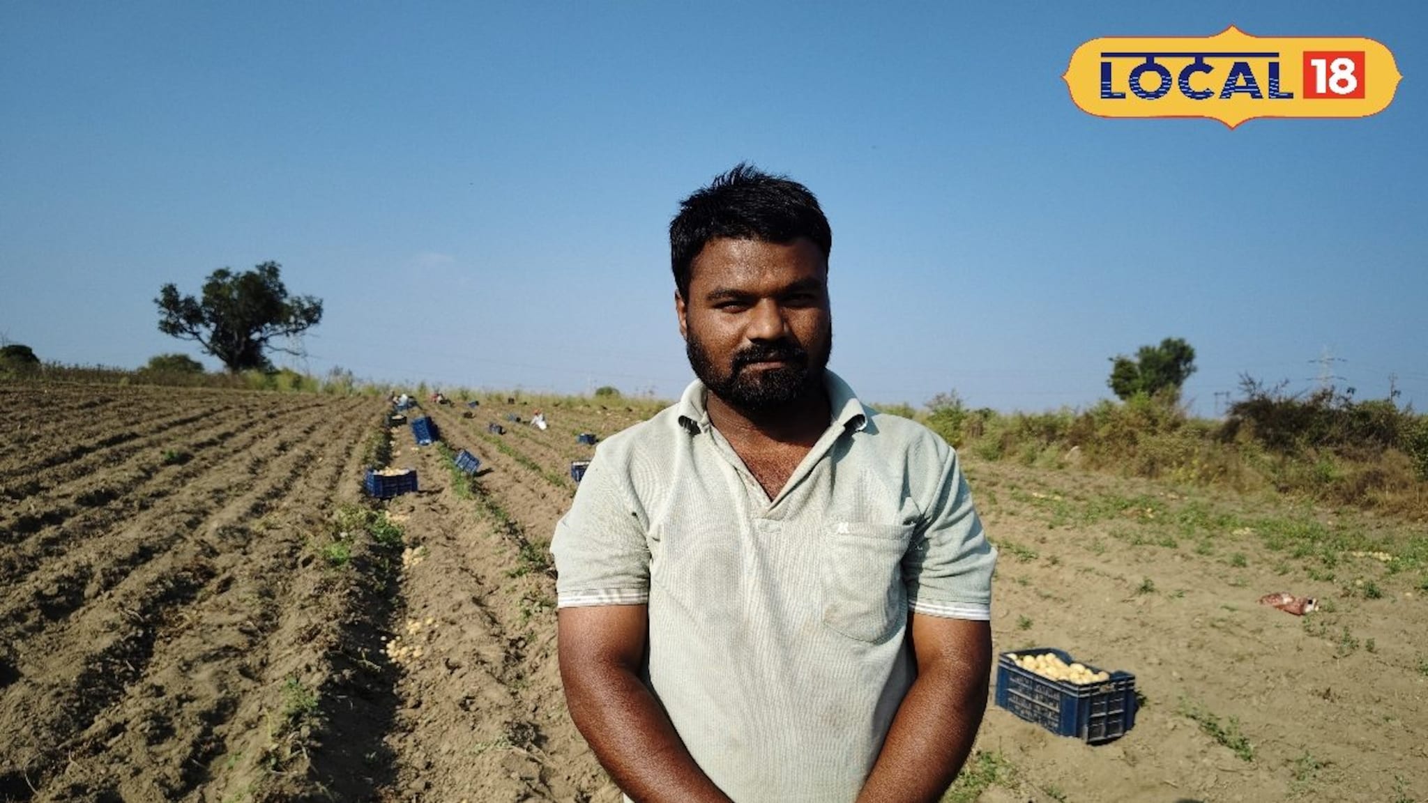 निसर्गाच्या लहरीपणाने बटाटा शेती उद्ध्वस्त, हातातोंडाशी आलेले पिक वाया, शेतकऱ्यांचं प्रचंड नुकसान