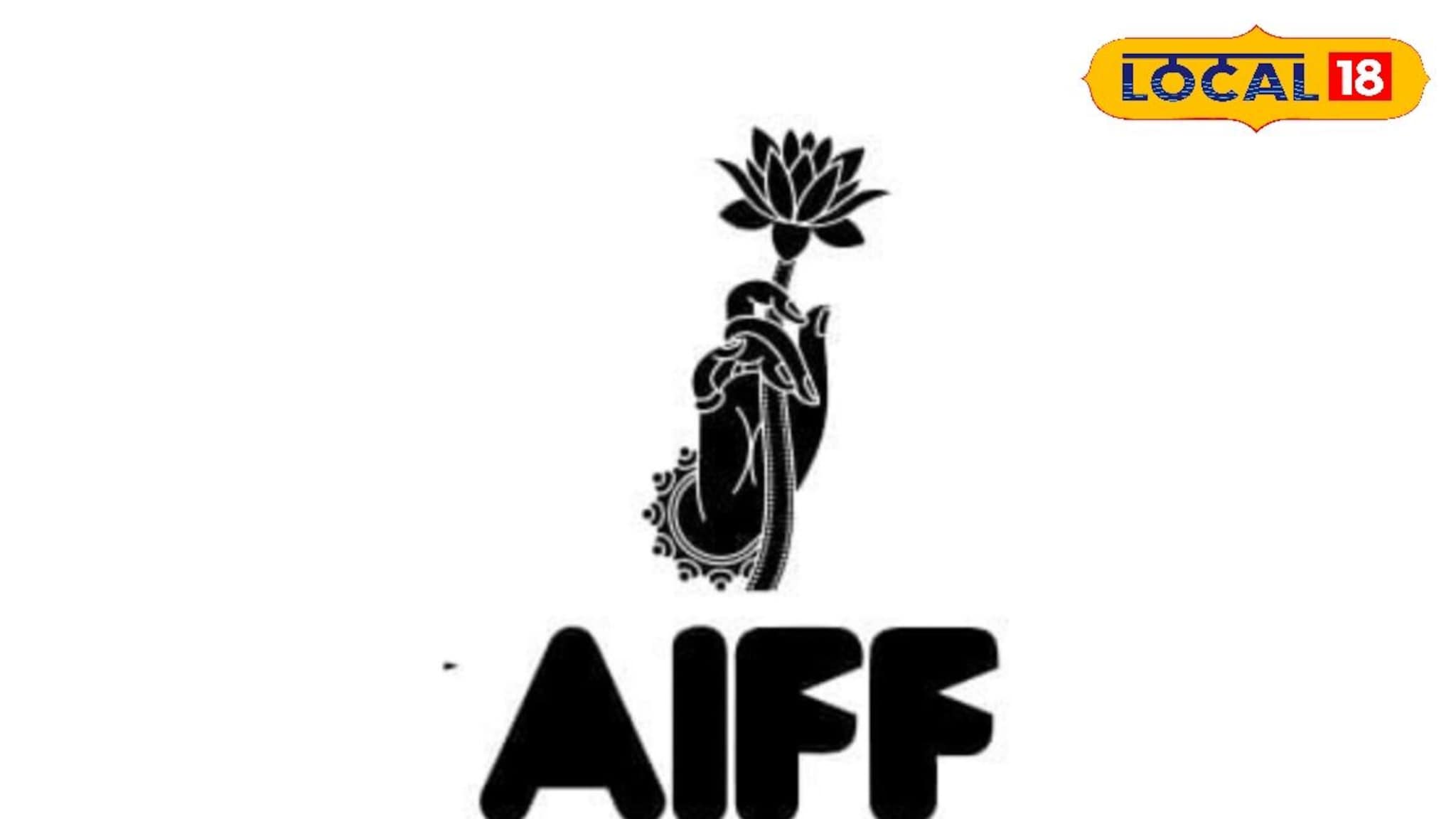 सिनेप्रेमींसाठी पर्वणी! जगभरातले सिनेमे पाहण्याची संधी, Ajanta Ellora Film Festival चं असं आहे नियोजन