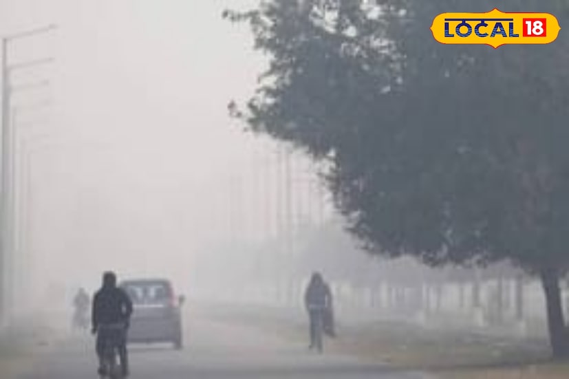 राज्यात सध्या तापमानात चढ-उतार कायम असून काही भागांत दुपारच्या वेळी उकाडा जाणवत आहे. तर दुसरीकडे थंडीचाही प्रभाव पूर्णपणे कमी झालेला नाही. गोंदिया येथे राज्यातील नीचांकी 8 अंश सेल्सिअस तापमानाची नोंद झाली आहे. पुढील काही दिवस राज्यात असेच वातावरण टिकून राहण्याची शक्यता हवामान विभागाने वर्तवली आहे. पाहुयात, 18 जानेवारी रोजी राज्यातील तापमान आणि हवामानाची स्थिती कशी राहील.