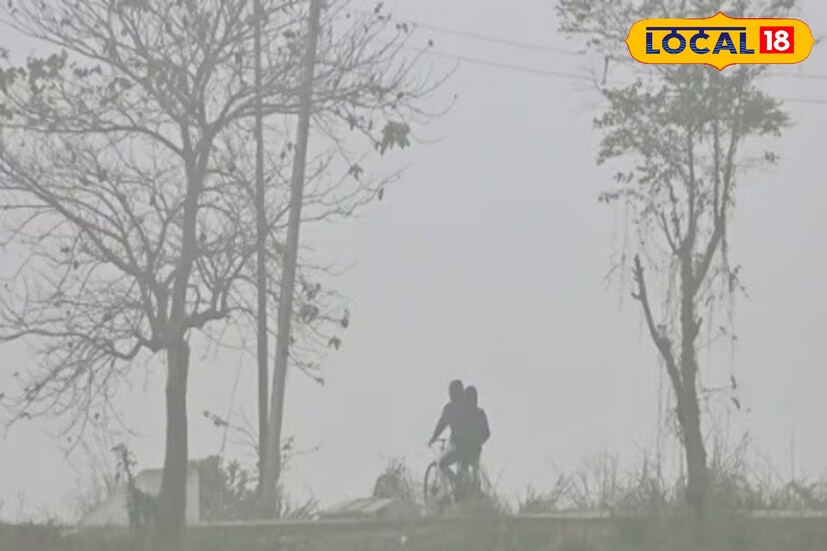 भारतीय हवामान विभागाच्या (IMD) अंदाजानुसार, 17 जानेवारी रोजी महाराष्ट्रात हिवाळ्याचे वातावरण कायम राहणार आहे. राज्यातील बहुतांश भागांत किमान तापमानात थोडी घट होऊन थंडीचा कडाका जाणवेल, तर दुपारी सूर्यप्रकाशामुळे उबदार वातावरण अनुभवास येईल.