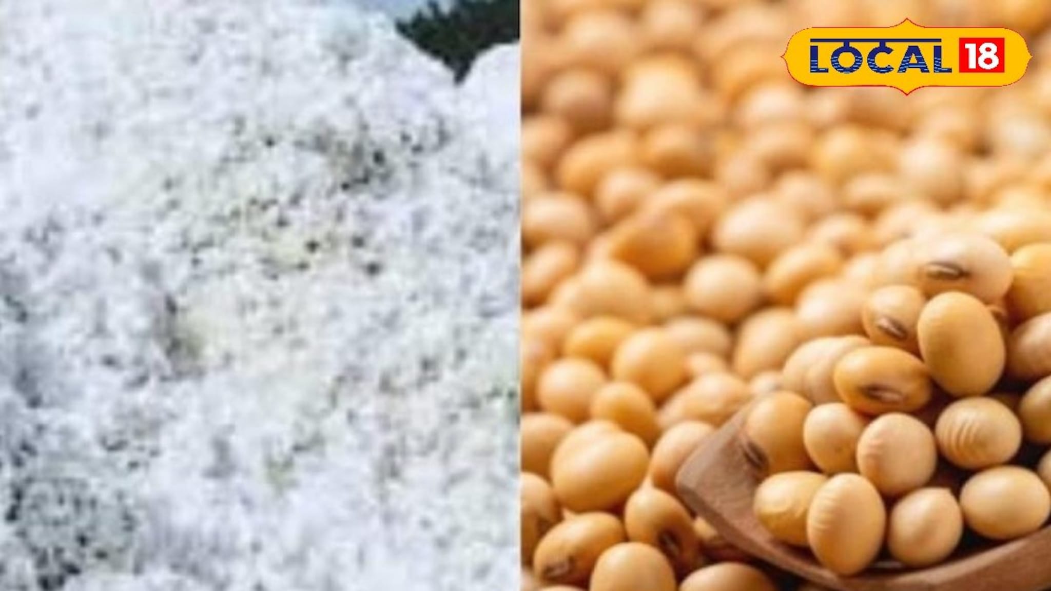 कांद्याचे दर स्थिर, सोयाबीन आणि कापसाला आज काय मिळाला भाव, एका क्लिकवर चेक करा