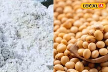 कांद्याचे दर स्थिर, सोयाबीन आणि कापसाला आज काय मिळाला भाव, एका क्लिकवर चेक करा