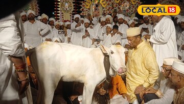 यंदाच्या