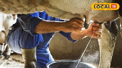 दूध व्यवसायात योग्य वाढ