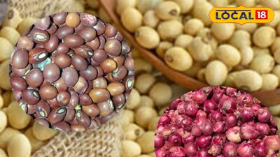 Maharashtra Krushi Market updates 