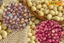 सोयाबीन आणि तुरीच्या दरात पुन्हा घट, कापसाला काय मिळाला भाव? इथं चेक करा