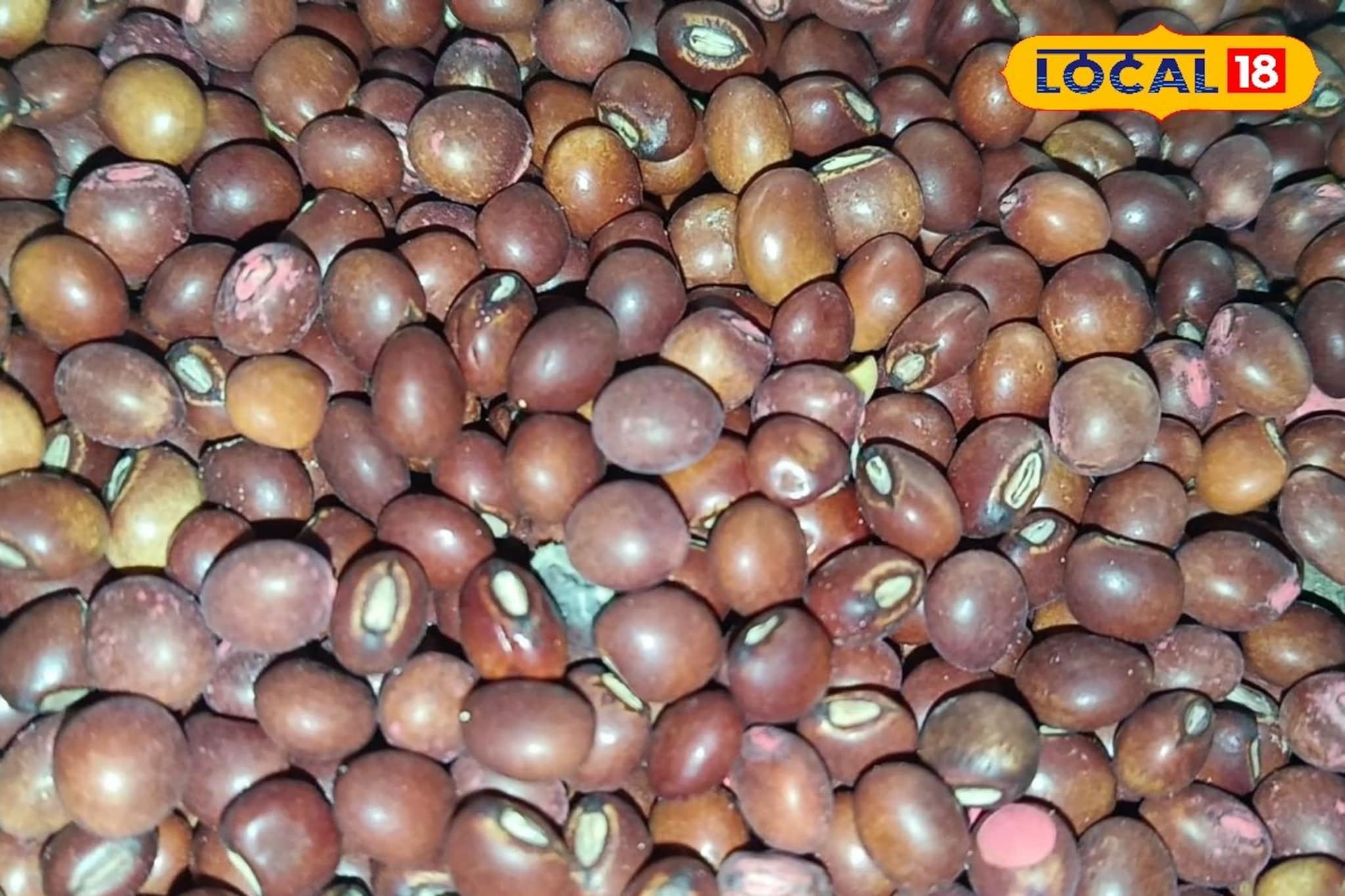 तुरीच्या दरात वाढ; कांदा आणि सोयाबिनला किती मिळाला भाव?  Video