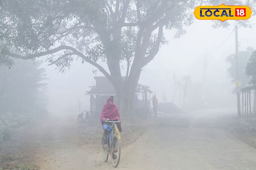 महाराष्ट्रात हवामान मुख्यतः कोरडे ते अंशतः ढगाळ राहण्याचा अंदाज आहे. राज्यात थंडीची लाट पुन्हा सक्रिय होत असून, विशेषतः उत्तर महाराष्ट्र आणि विदर्भात किमान तापमानात 3-4 अंशांची घसरण होऊ शकते. पहाटे आणि रात्री गारठा जाणवेल, तर दिवसा सूर्यप्रकाशामुळे तापमानात थोडी ऊब राहील.
