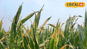 हिवाळ्यात