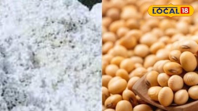 Maharashtra Krushi Market updates 