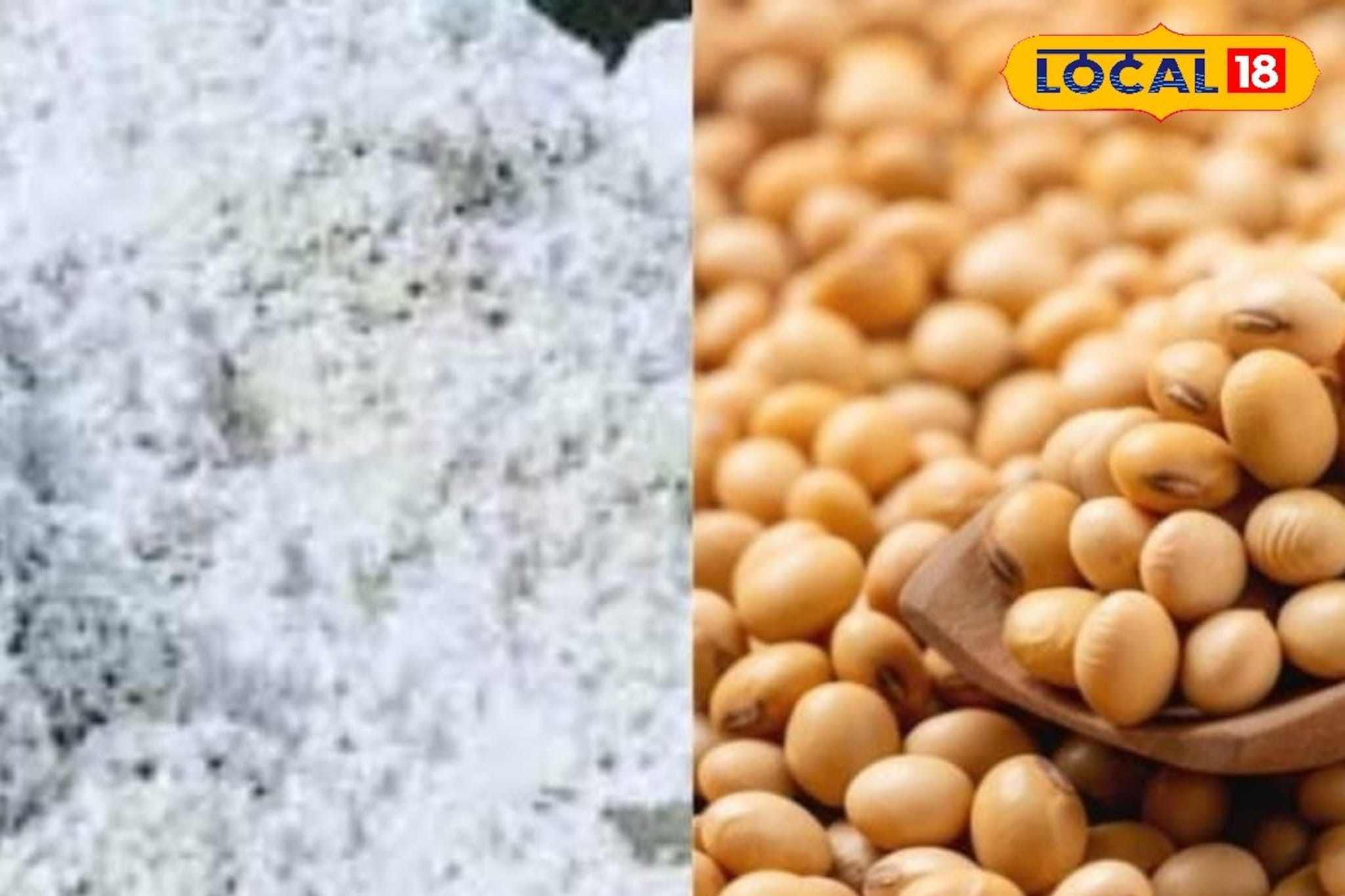 सोयाबीनच्या दरात पुन्हा उलथापालथ, कापूस आणि तुरीला काय मिळाला भाव? Video