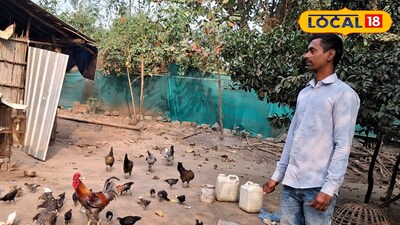 गावठी कोंबडी पालन व्यवसाय<br><br>