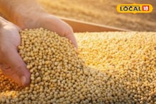 सोयाबीनचे दर घसरले, कांदा आणि कापसाला आज काय मिळाला भाव? इथं चेक करा