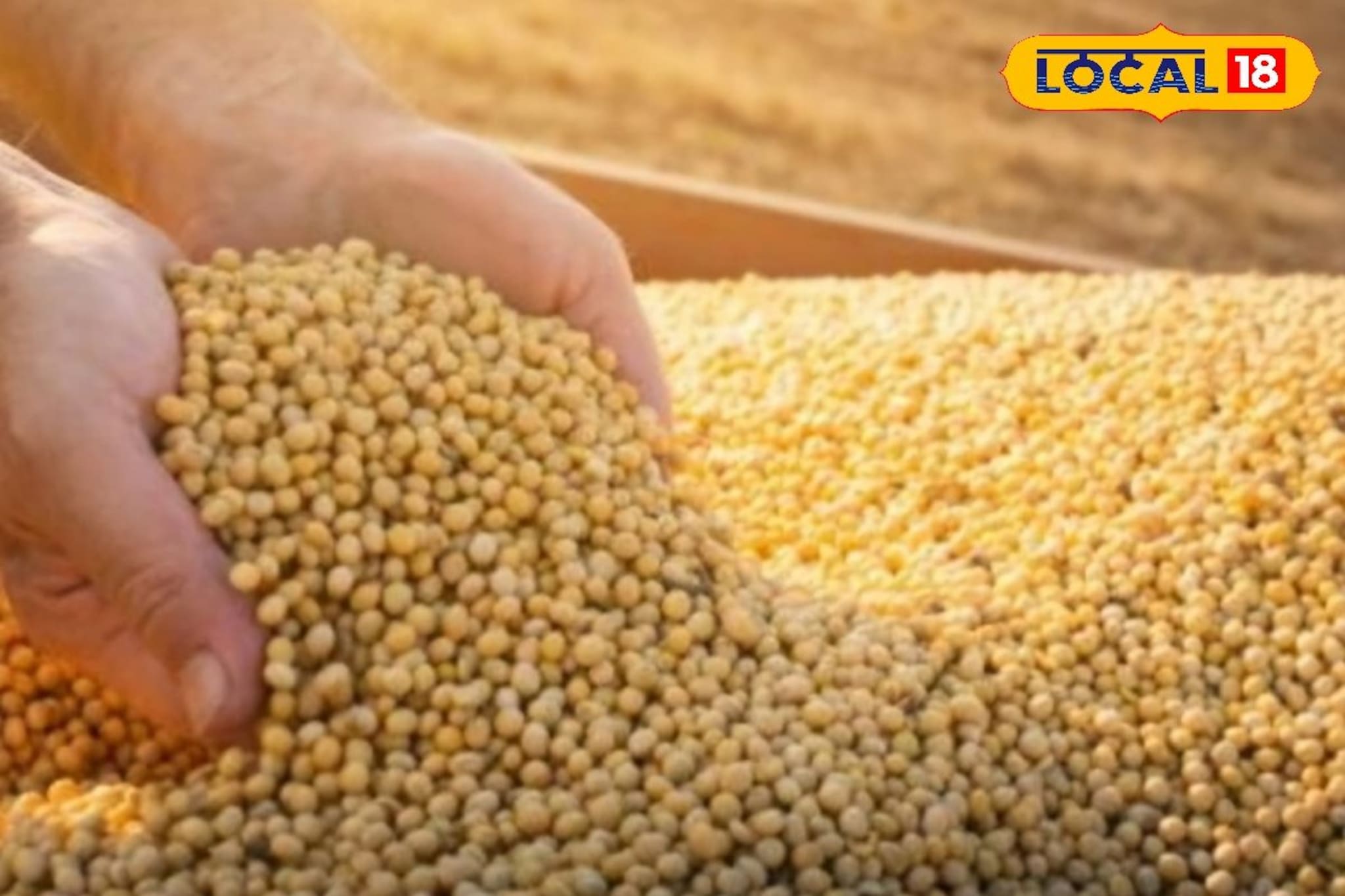 सोयाबीनचे दर घसरले, कांदा आणि कापसाला आज काय मिळाला भाव? इथं चेक करा