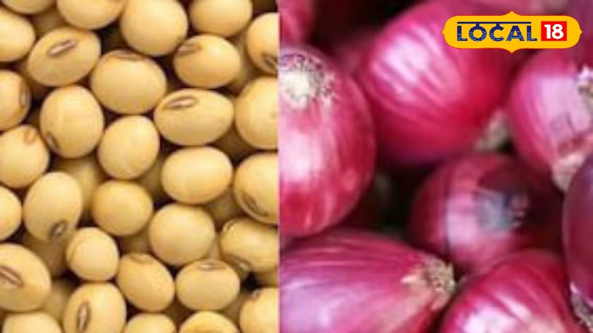 कापूस आणि कांद्याच्या दरात घसरण, सोयाबीन आणि तुरीला काय मिळाला भाव? Video