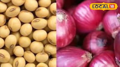 Maharashtra Krushi Market updates