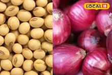 कापूस आणि कांद्याच्या दरात घसरण, सोयाबीन आणि तुरीला काय मिळाला भाव? Video