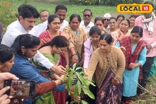 ‎रूढी–अंधश्रद्धेला दिला फाटा, पाचव्या दिवशीच केला विधी पूर्ण, वृक्षारोपणातून मातृस्मृती जपणारे भानुसे कुटुंब ‎Video