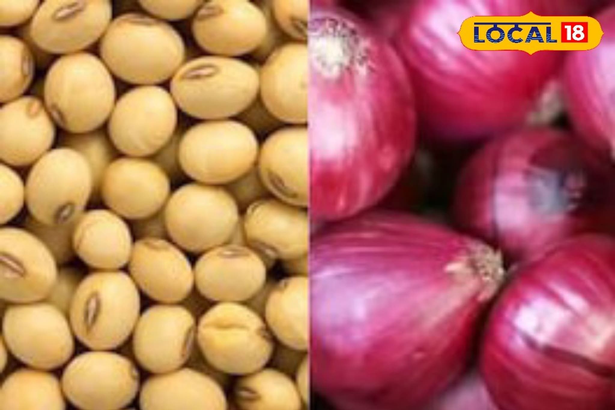 कांद्याचे दर स्थिर, तुरीच्या दरात वाढ, सोयाबीन आणि कापसाला काय मिळाला भाव?