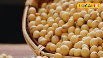 Maharashtra Krushi Market updates