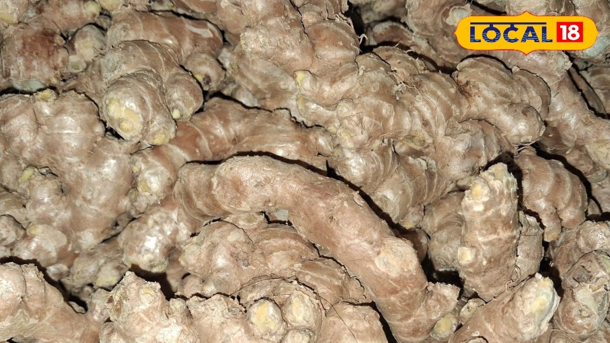 लाल सोन्याचे महाराष्ट्रात दर घटले, डाळिंबासह इतर शेतमालांची स्थिती काय?