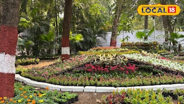 प्रदर्शन 