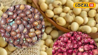 Maharashtra Krushi Market updates 