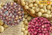 सोयाबीन आणि कांद्याच्या दरात पुन्हा घट, कपाशीला किती मिळाला भाव? एका क्लिकवर चेक करा