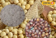 सोयाबीन आणि तुरीच्या दरात घसरण, कांद्याची कशी राहीली स्थिती? Video